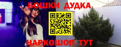 сатива Донецк