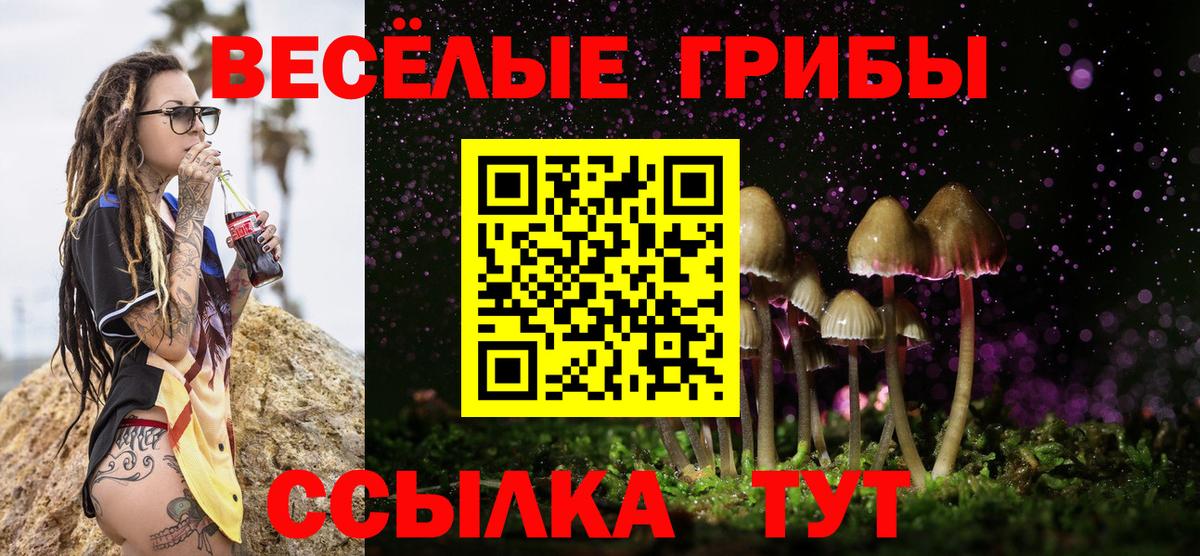 Псилоцибиновые грибы прущие грибы  Галлюциногенные грибы ЛСД  Краснознаменск  Вход с VPN 