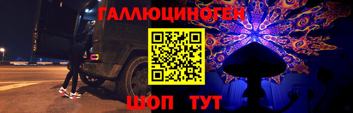 Псилоцибиновые грибы Cubensis Краснознаменск