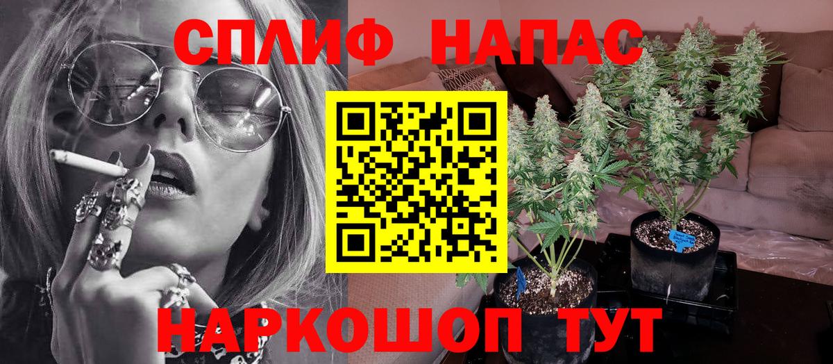 МАРИХУАНА Amnesia  Канабис Amnesia  Шишки марихуана SATIVA & INDICA  Краснознаменск  Вход с VPN 